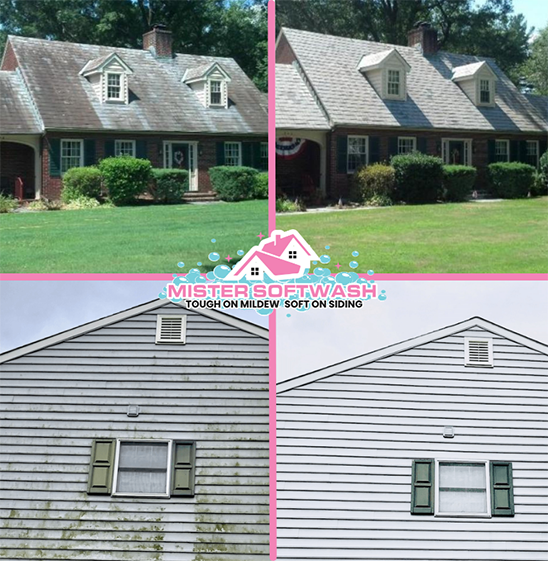 Mister Softwash Before and After